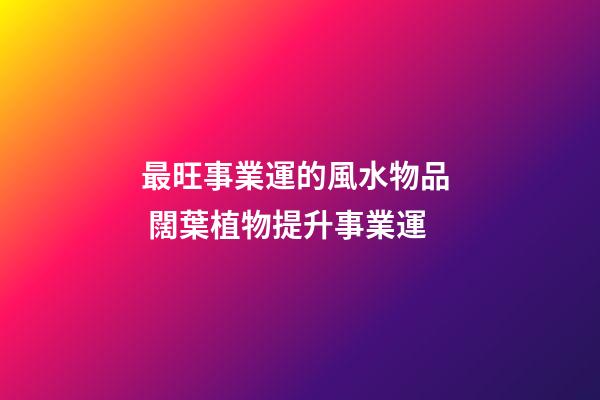 最旺事業運的風水物品  闊葉植物提升事業運